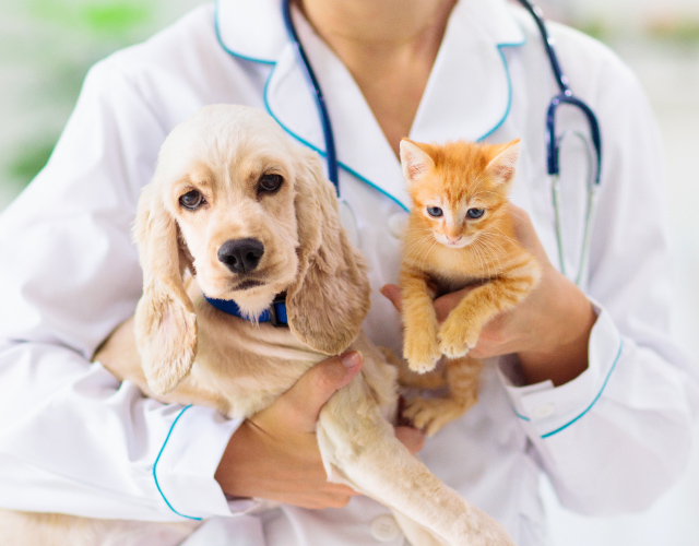 Pet Diagnostics